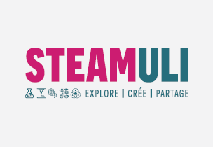 STEAMULI