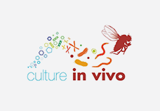 Culture In Vivo